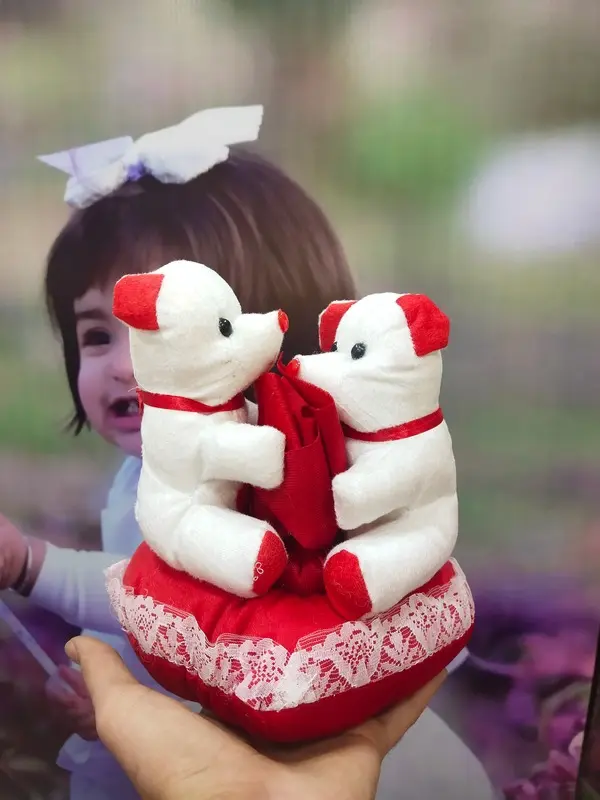 Kissing teddy
