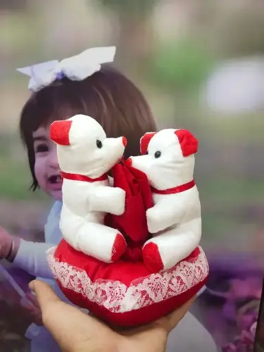 Kissing teddy
